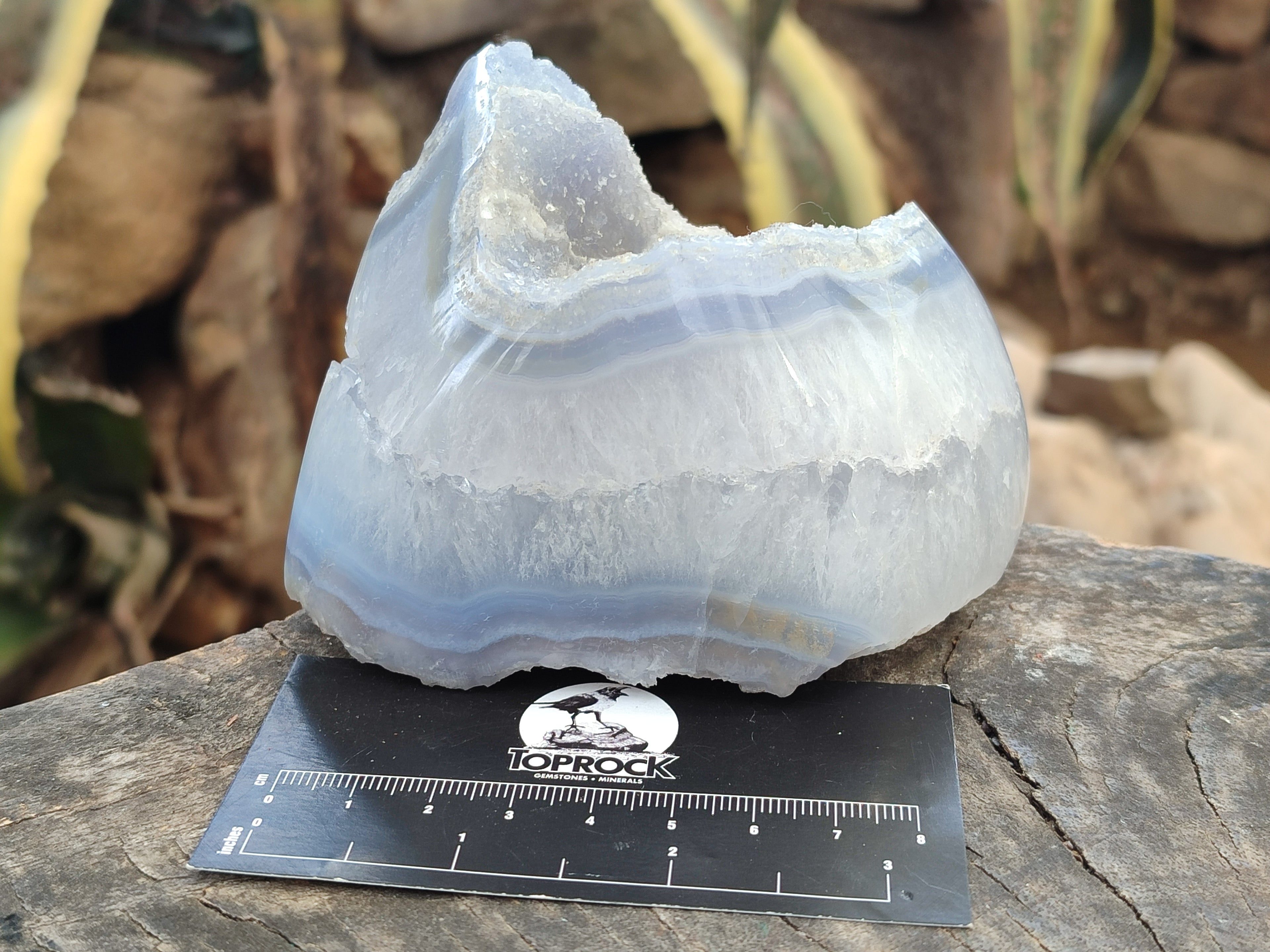 Polished Blue Lace Agate Geodes x 2 From Nsanje, Malawi - Toprock Gemstones and Minerals 