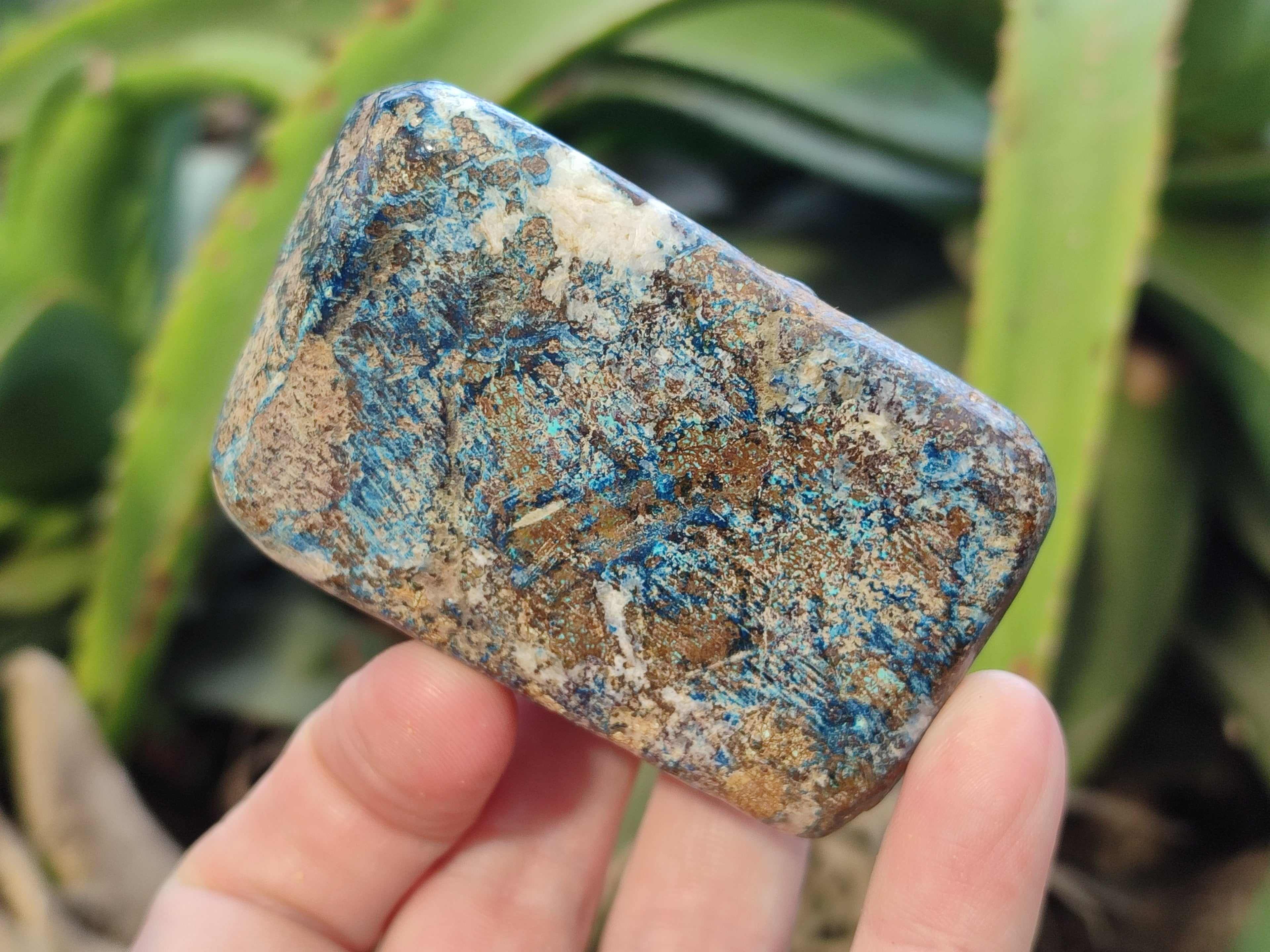 Polished Shattuckite with Azurite and Chrysocolla Free Forms x 4 From Congo - Toprock Gemstones and Minerals 