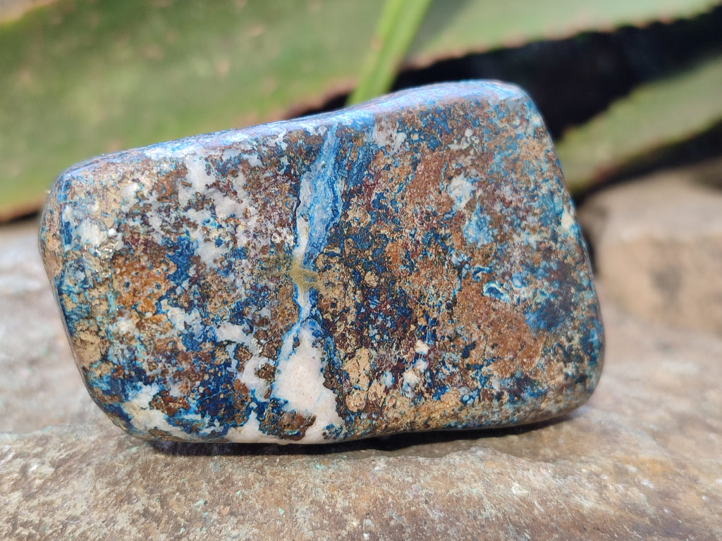 Polished Shattuckite with Azurite and Chrysocolla Free Forms x 4 From Congo - Toprock Gemstones and Minerals 