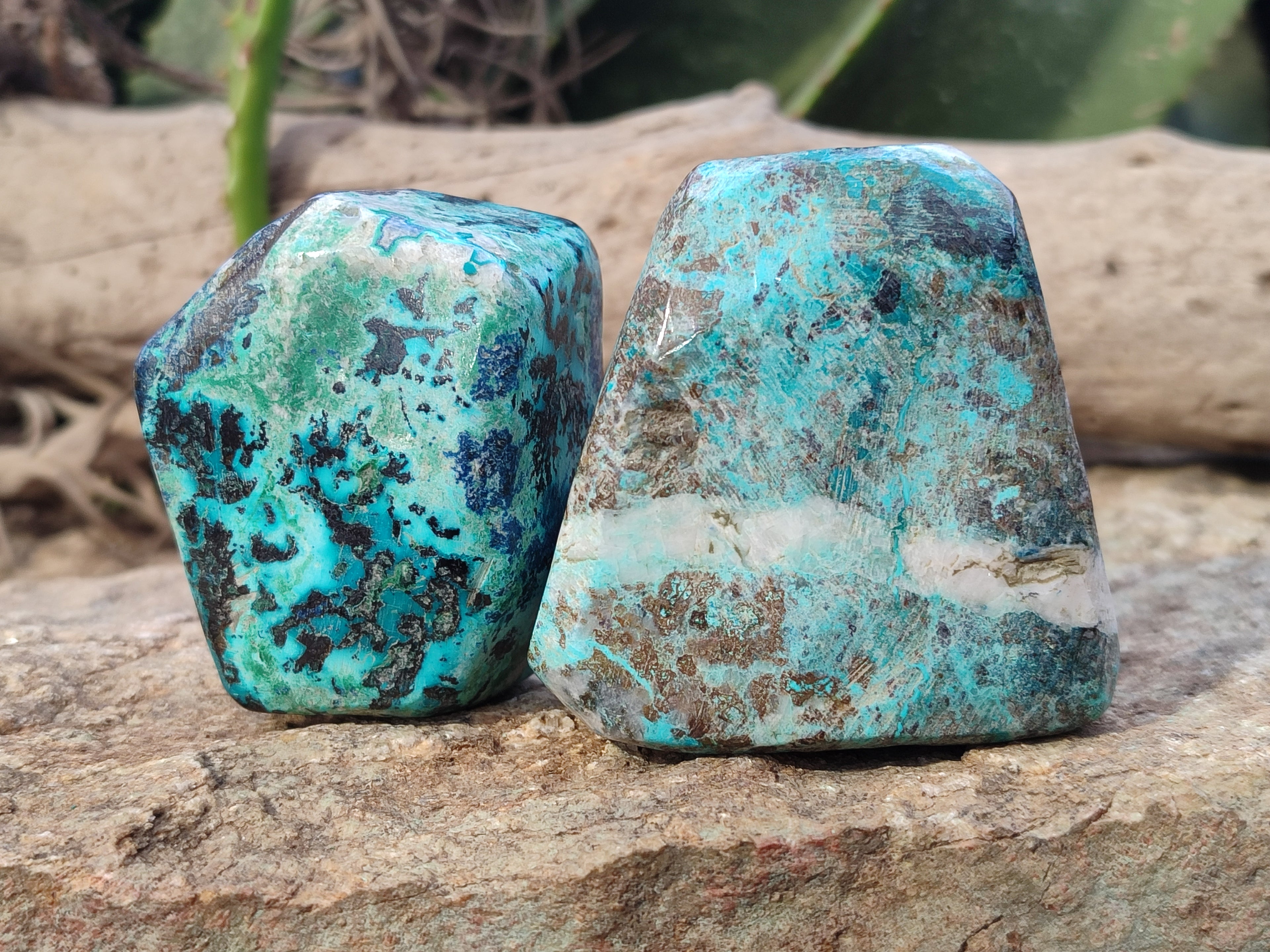 Polished Shattuckite with Azurite and Chrysocolla Free Forms x 4 From Congo - Toprock Gemstones and Minerals 