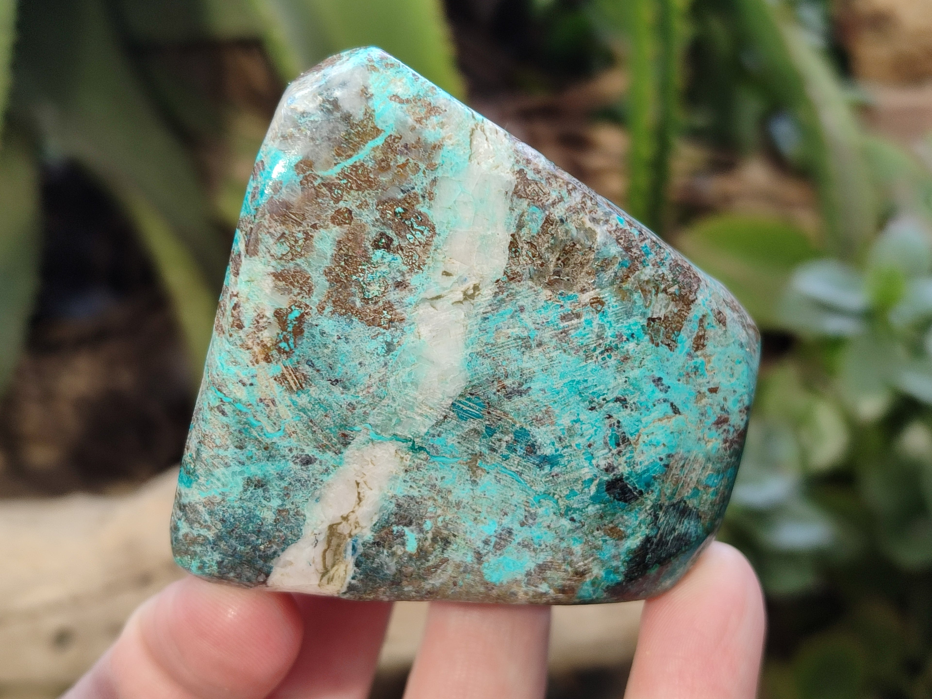 Polished Shattuckite with Azurite and Chrysocolla Free Forms x 4 From Congo - Toprock Gemstones and Minerals 