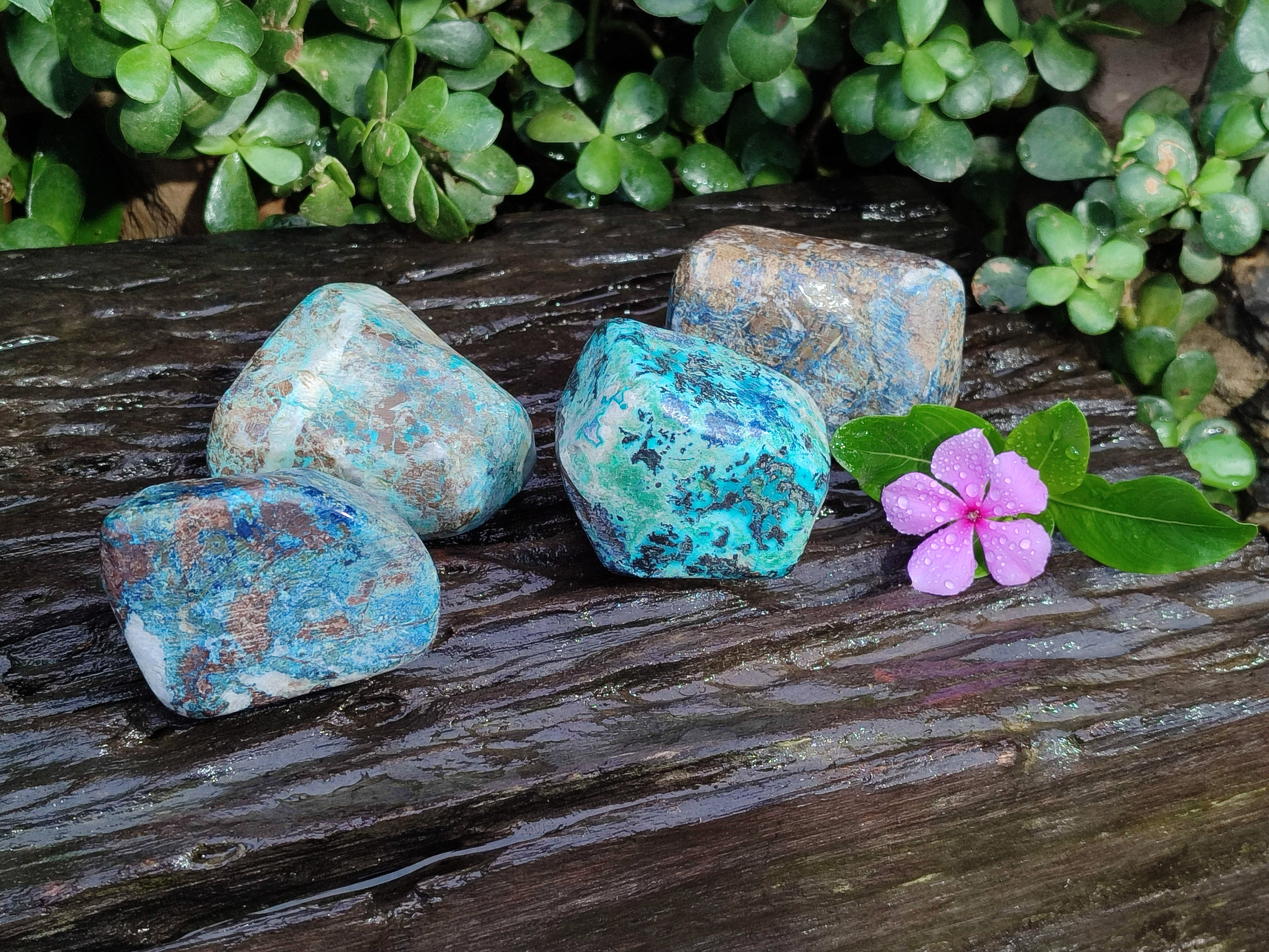 Polished Shattuckite with Azurite and Chrysocolla Free Forms x 4 From Congo - Toprock Gemstones and Minerals 