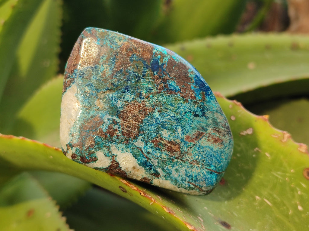 Polished Shattuckite with Azurite and Chrysocolla Free Forms x 4 From Congo - Toprock Gemstones and Minerals 