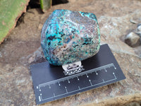 Polished Shattuckite with Azurite and Chrysocolla Free Forms x 4 From Congo - Toprock Gemstones and Minerals 