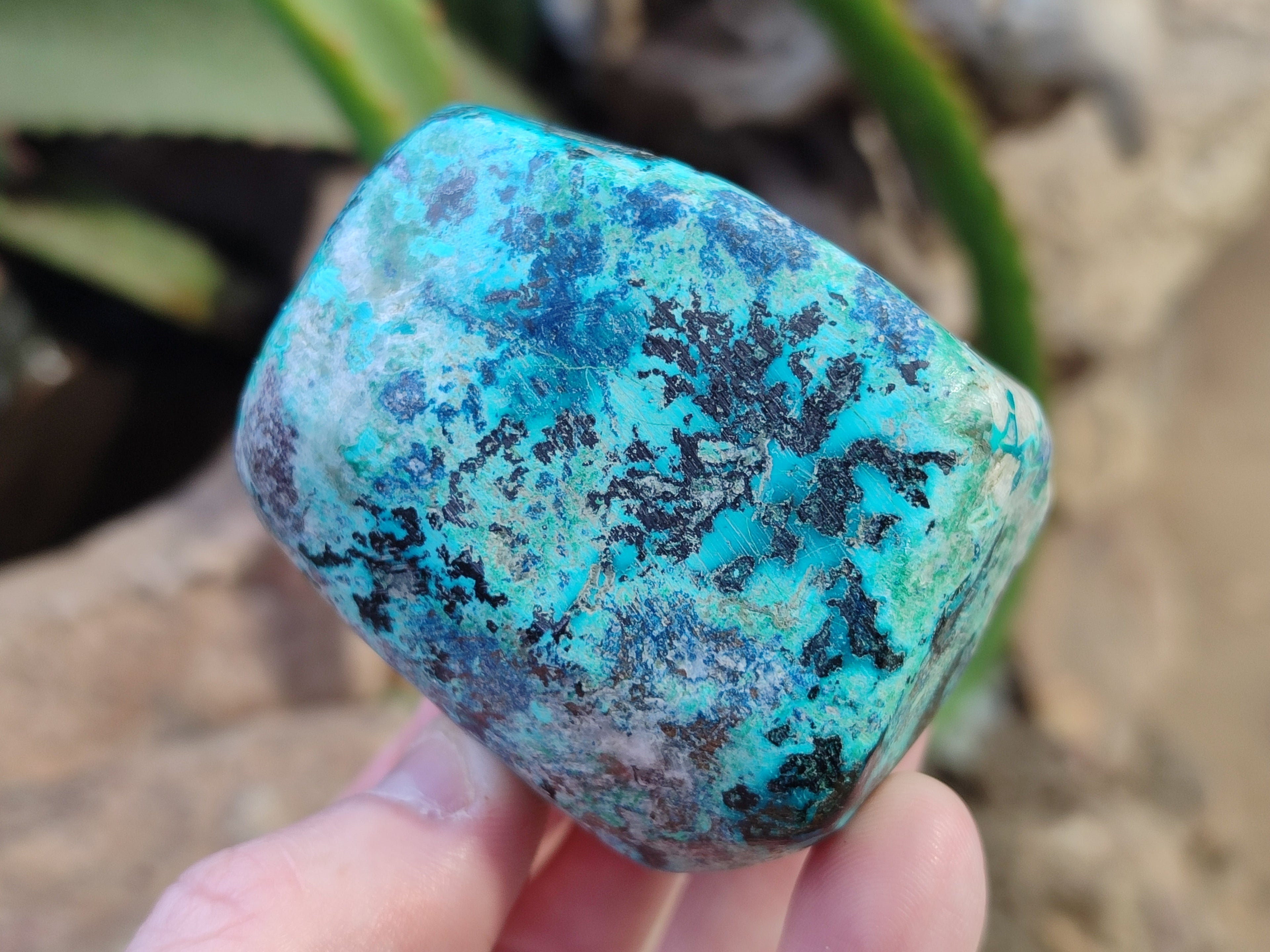 Polished Shattuckite with Azurite and Chrysocolla Free Forms x 4 From Congo - Toprock Gemstones and Minerals 