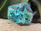 Polished Shattuckite with Azurite and Chrysocolla Free Forms x 4 From Congo - Toprock Gemstones and Minerals 