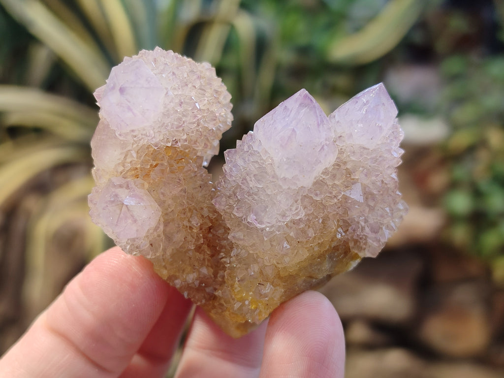 Natural Amethyst Spirit Quartz Clusters x 12 From Boekenhouthoek, South Africa - Toprock Gemstones and Minerals 