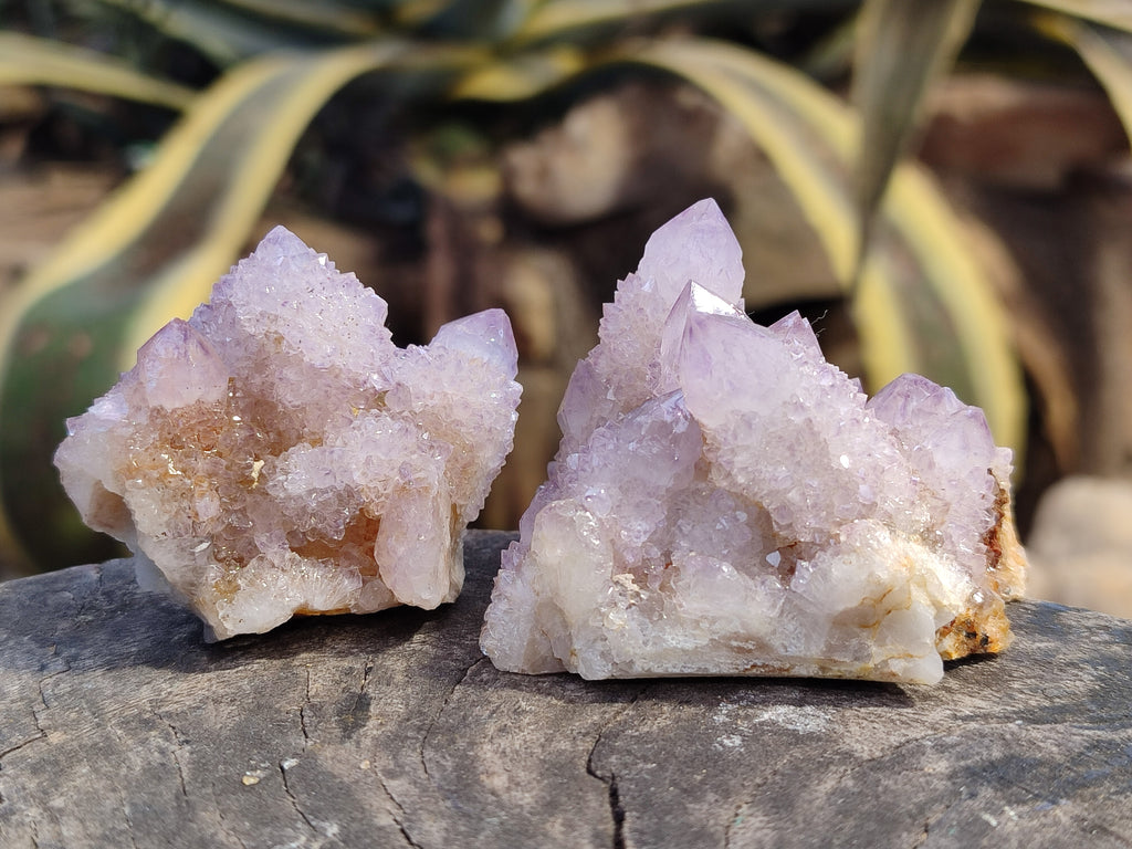 Natural Amethyst Spirit Quartz Clusters x 12 From Boekenhouthoek, South Africa - Toprock Gemstones and Minerals 