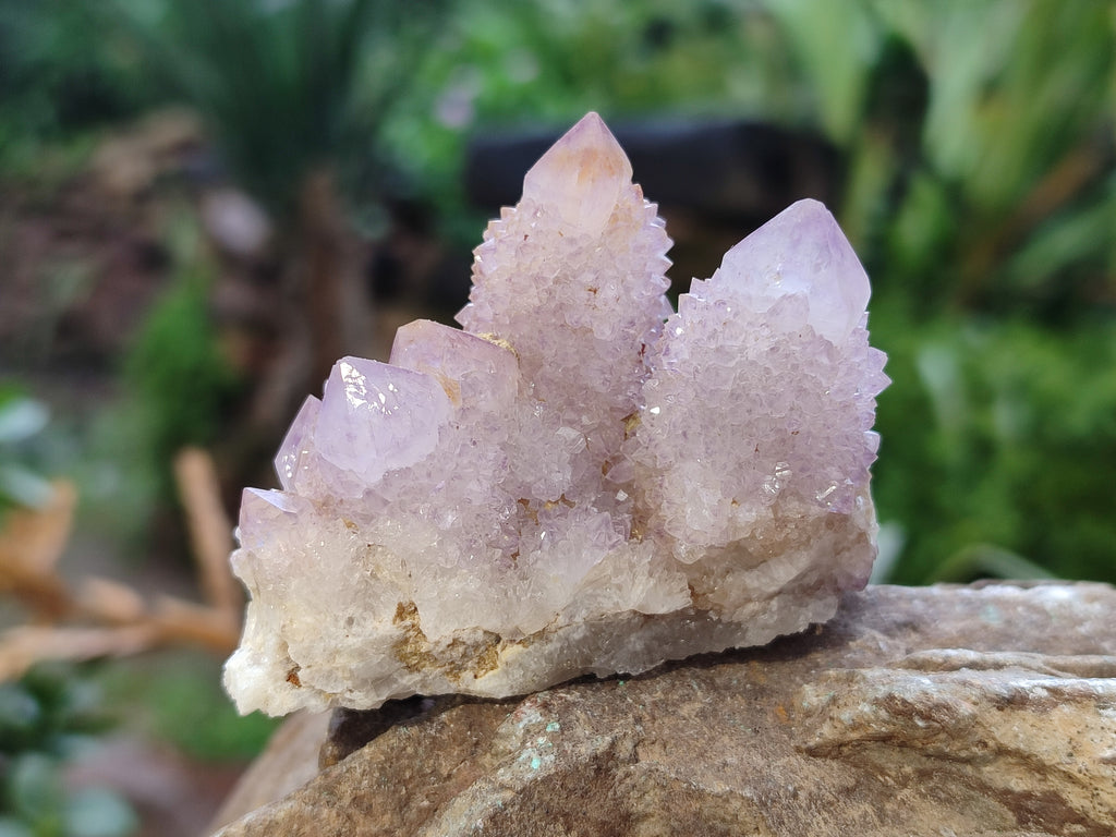 Natural Amethyst Spirit Quartz Clusters x 12 From Boekenhouthoek, South Africa - Toprock Gemstones and Minerals 