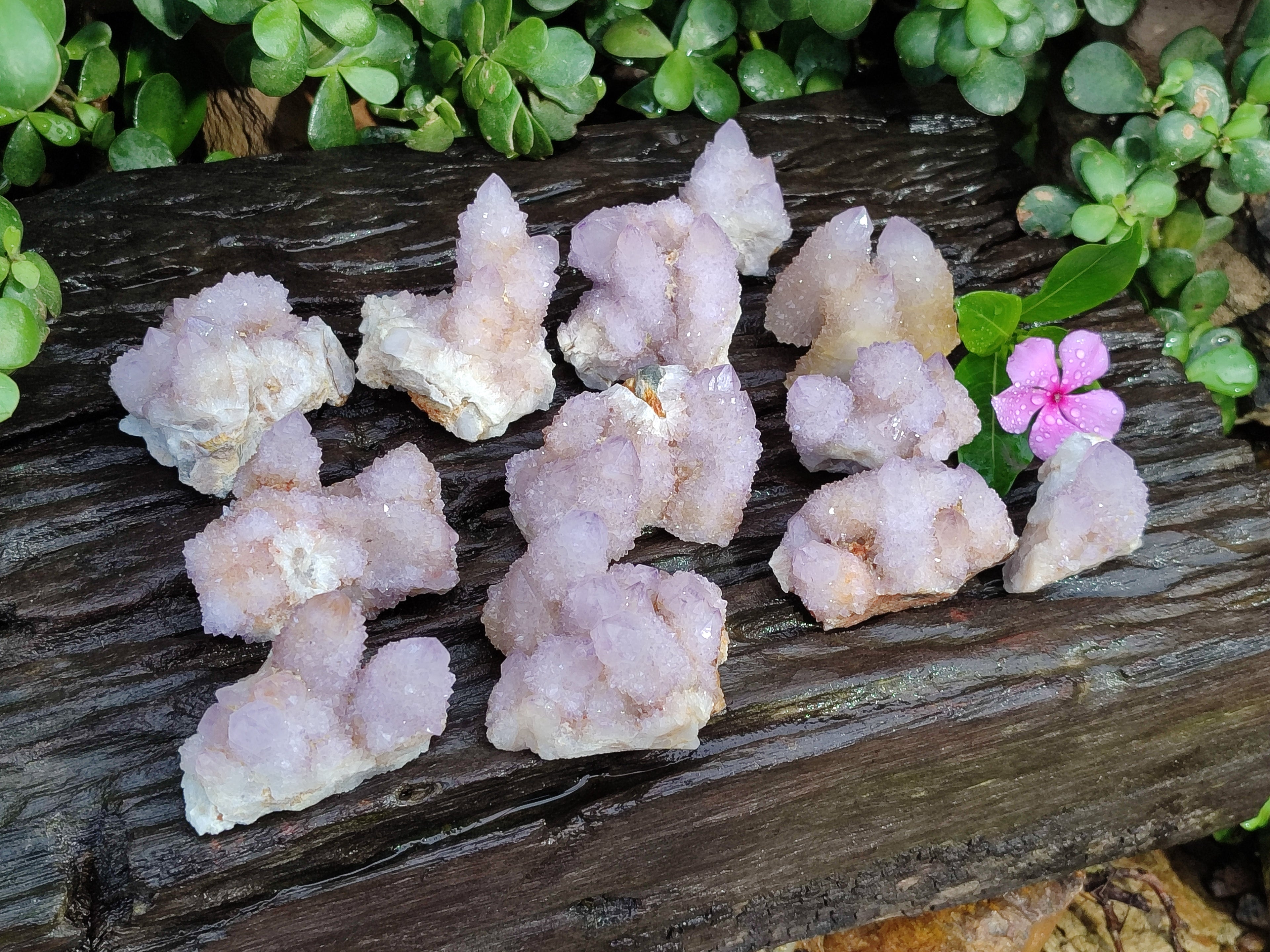 Natural Amethyst Spirit Quartz Clusters x 12 From Boekenhouthoek, South Africa - Toprock Gemstones and Minerals 