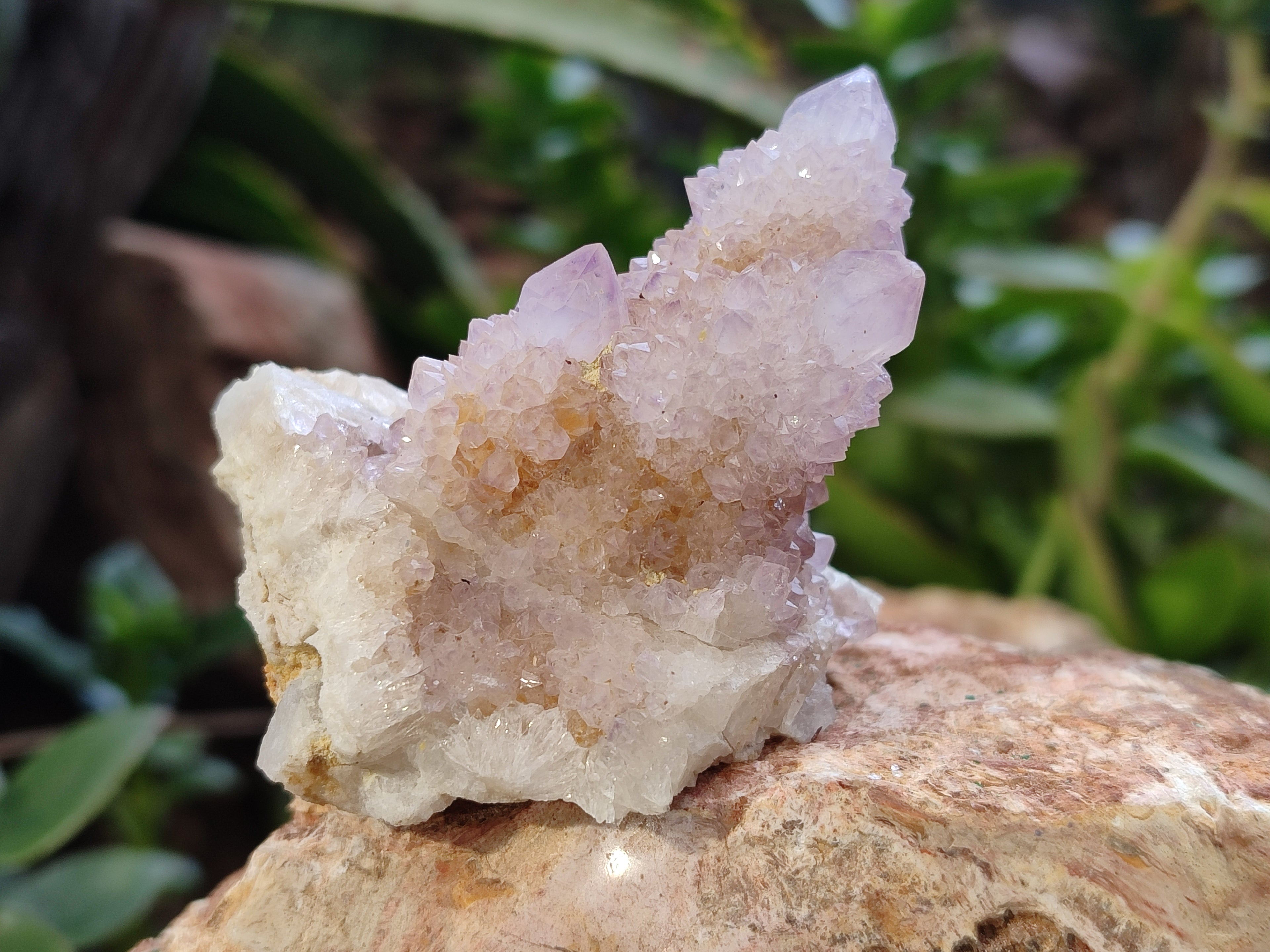 Natural Amethyst Spirit Quartz Clusters x 12 From Boekenhouthoek, South Africa - Toprock Gemstones and Minerals 