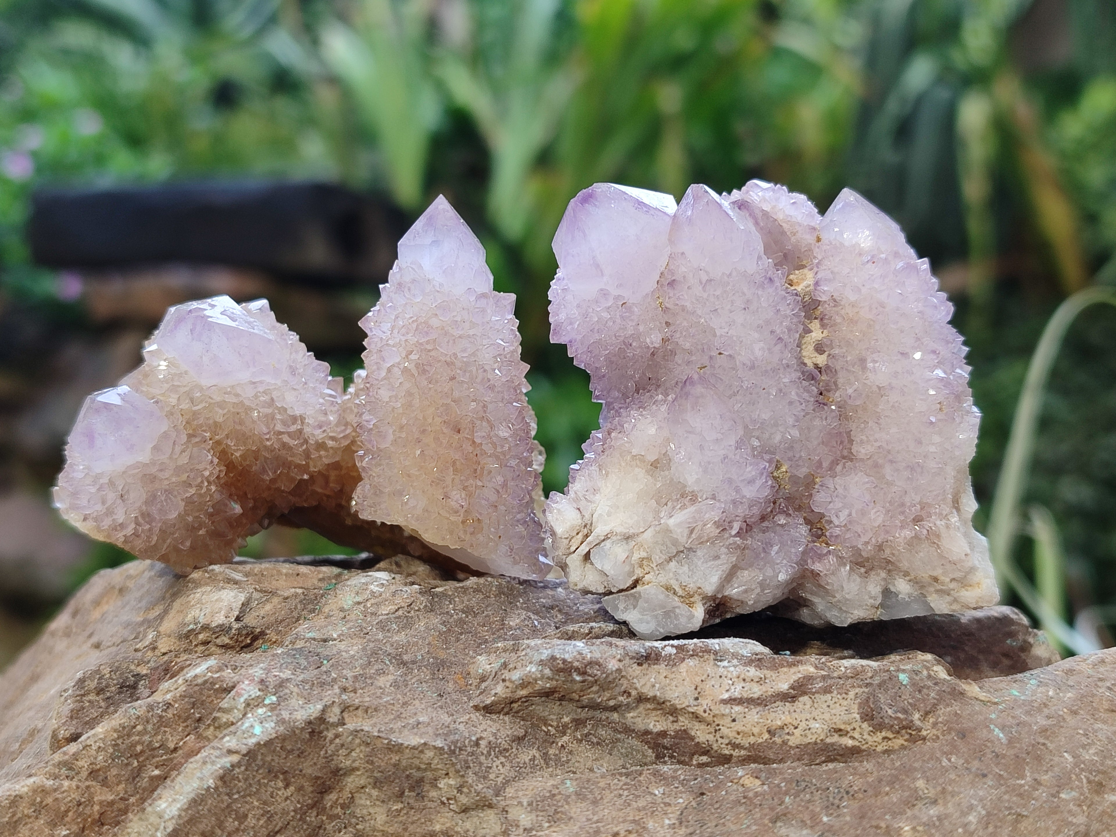 Natural Amethyst Spirit Quartz Clusters x 12 From Boekenhouthoek, South Africa - Toprock Gemstones and Minerals 