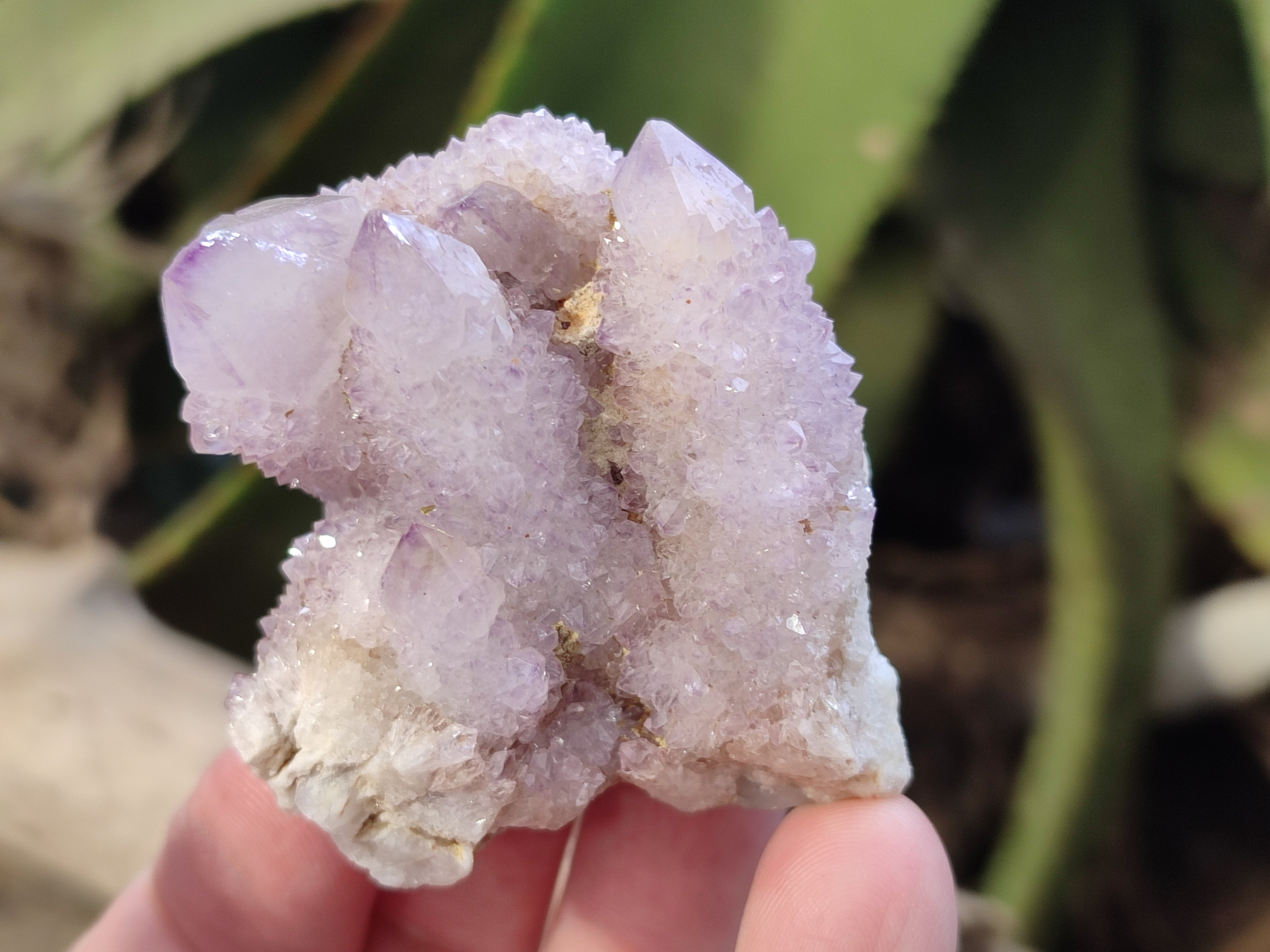 Natural Amethyst Spirit Quartz Clusters x 12 From Boekenhouthoek, South Africa - Toprock Gemstones and Minerals 