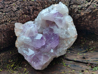 Natural Jacaranda Amethyst Quartz Cluster x 2 From Mumbwa, Zambia - Toprock Gemstones and Minerals 