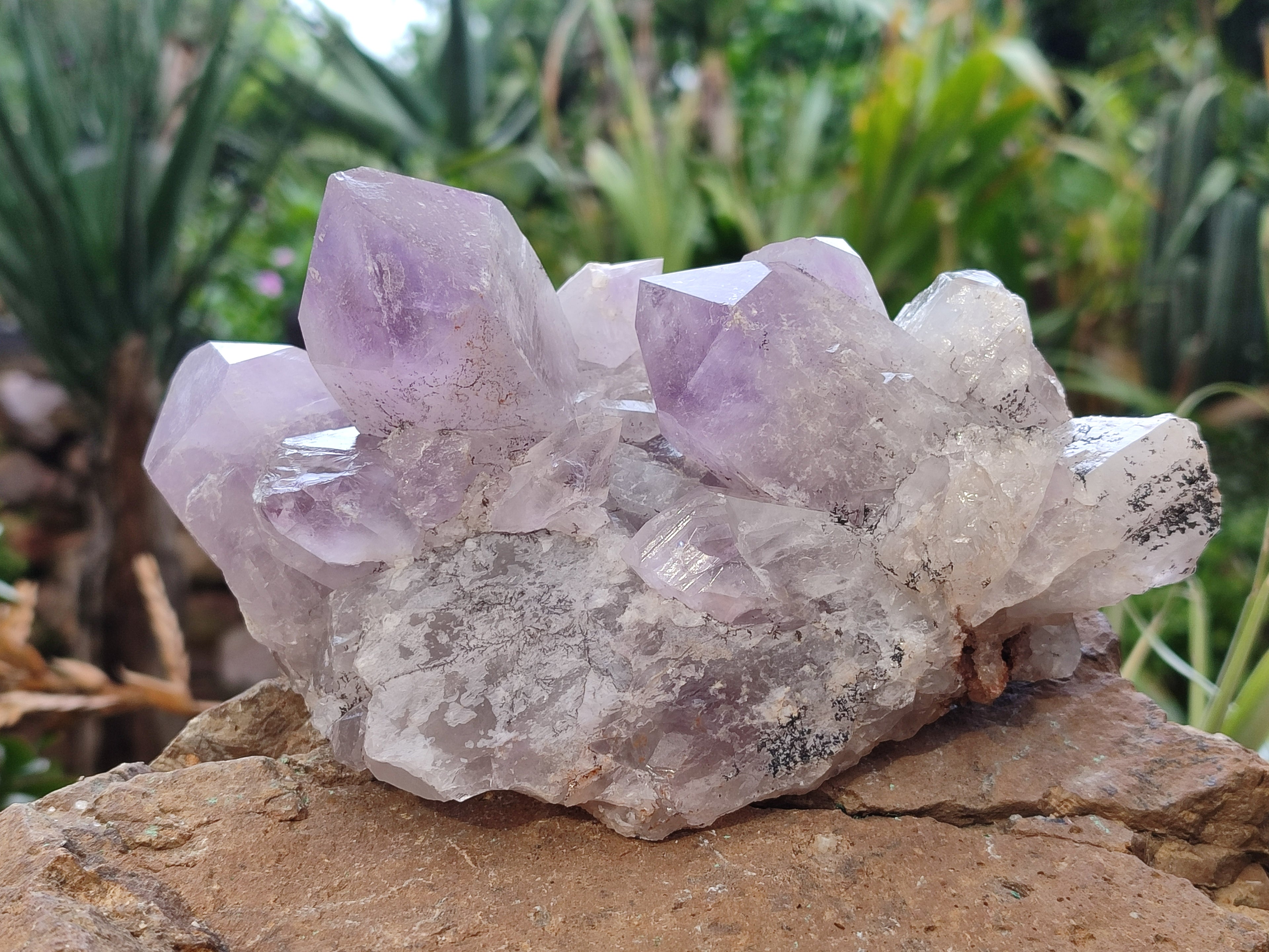 Natural Jacaranda Amethyst Quartz Cluster x 2 From Mumbwa, Zambia - Toprock Gemstones and Minerals 