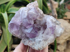 Natural Jacaranda Amethyst Quartz Cluster x 2 From Mumbwa, Zambia - Toprock Gemstones and Minerals 