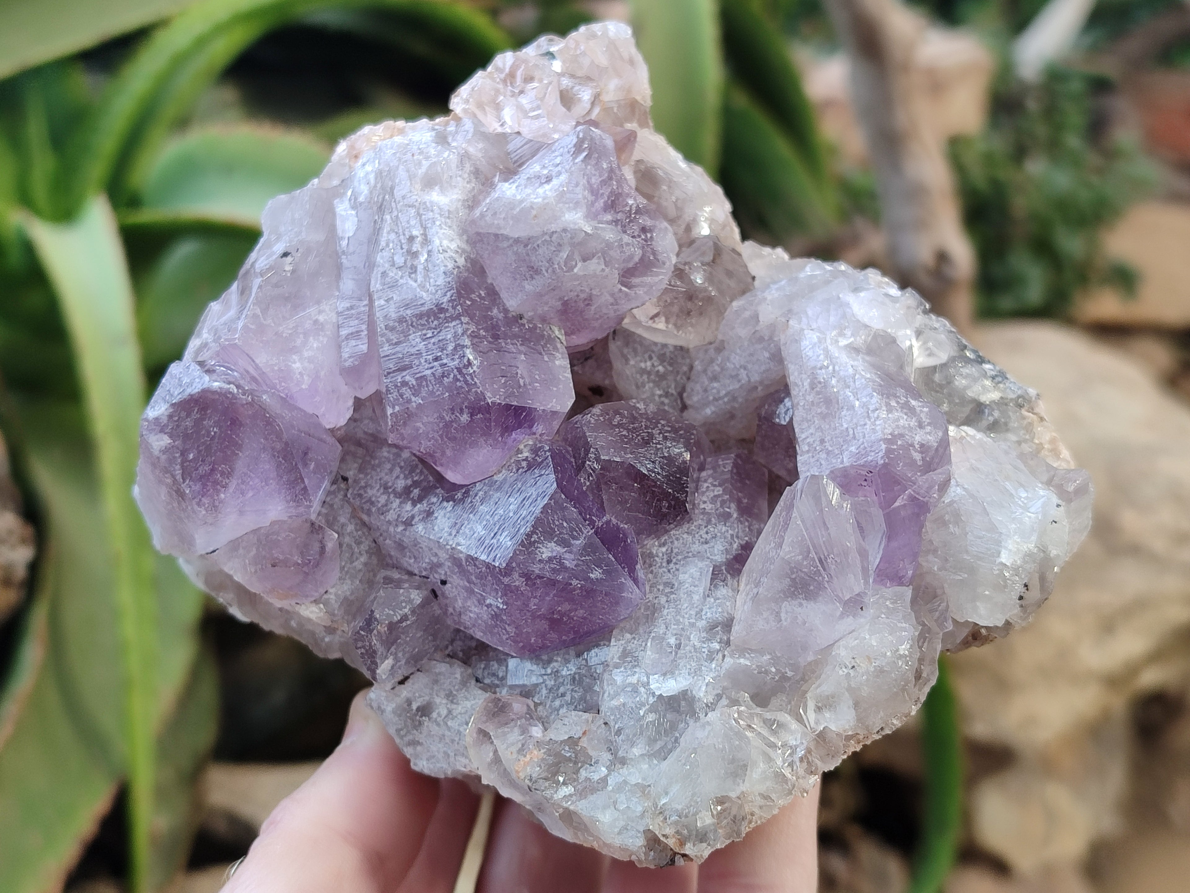 Natural Jacaranda Amethyst Quartz Cluster x 2 From Mumbwa, Zambia - Toprock Gemstones and Minerals 