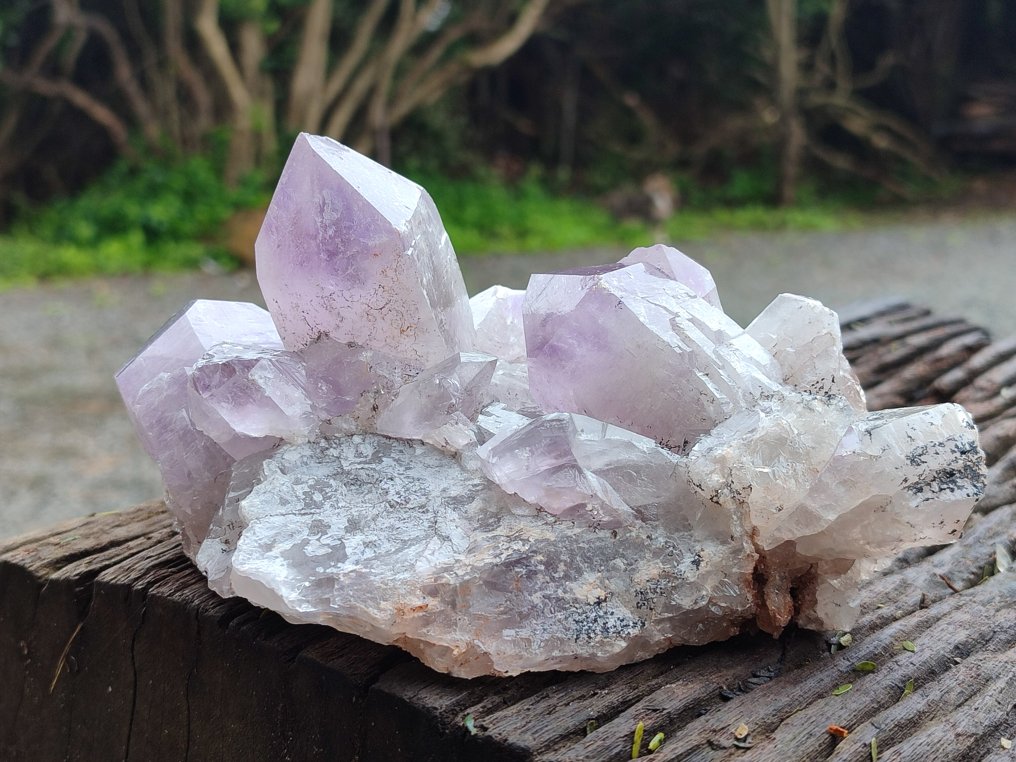Natural Jacaranda Amethyst Quartz Cluster x 2 From Mumbwa, Zambia - Toprock Gemstones and Minerals 