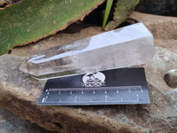 Polished Smokey Quartz Crystals x 2 From Madagascar