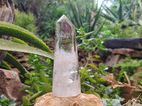 Polished Smokey Quartz Crystals x 2 From Madagascar