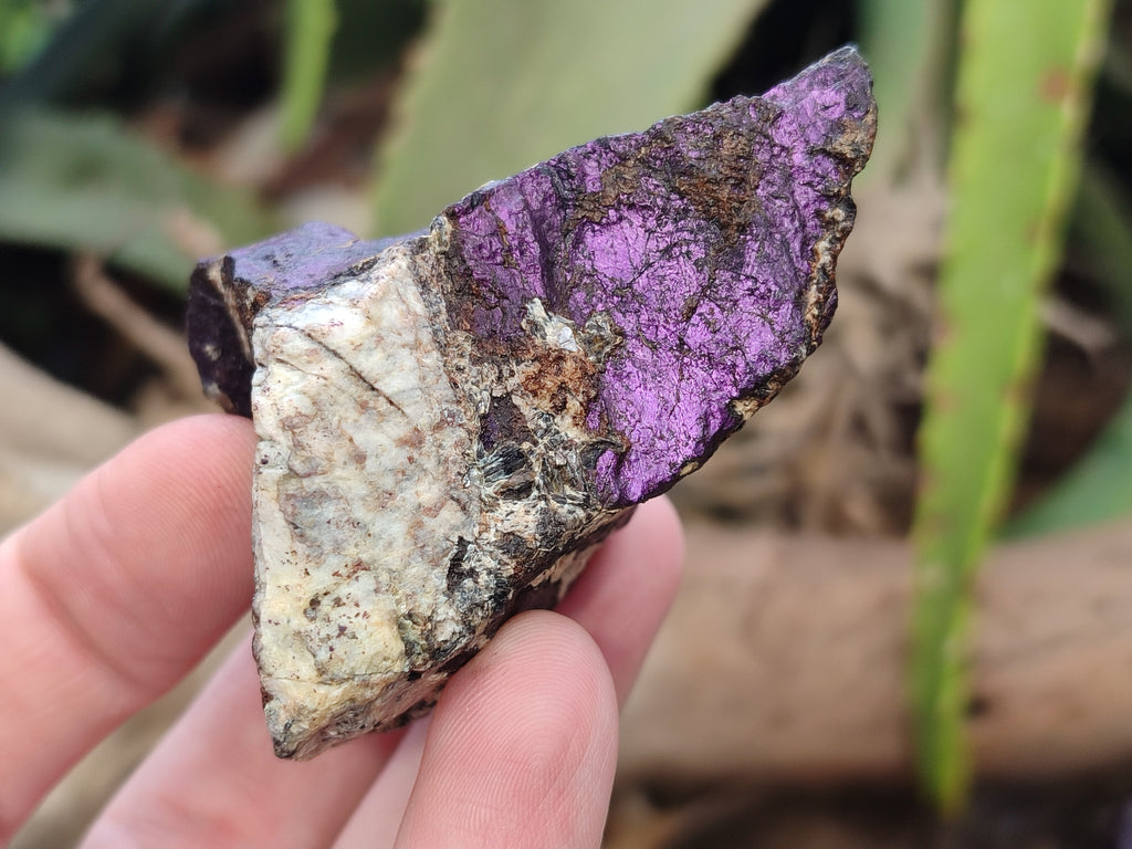 Natural Metallic Purpurite Cobbed Specimens x 12 From Erongo, Namibia - Toprock Gemstones and Minerals 