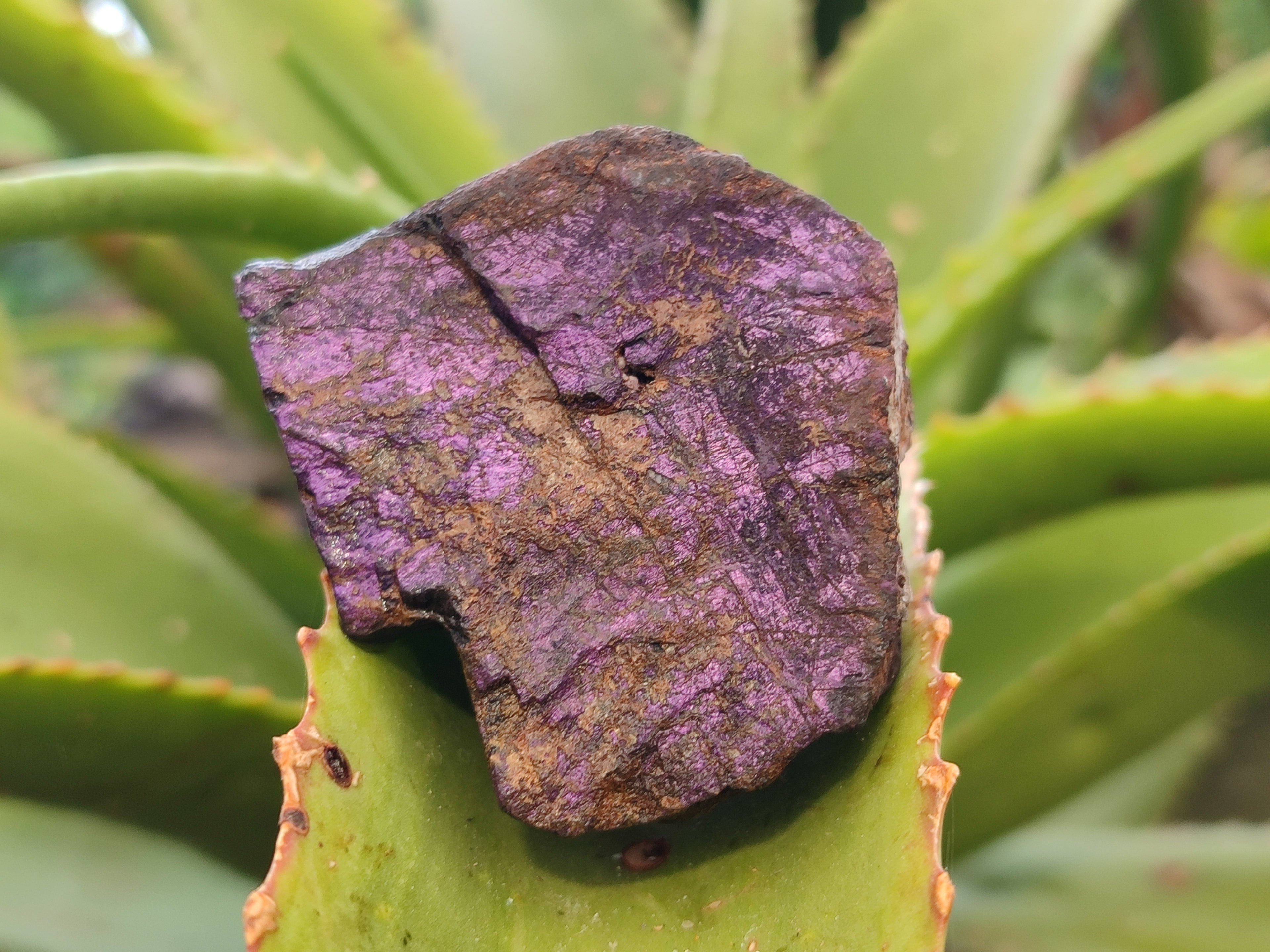 Natural Metallic Purpurite Cobbed Specimens x 12 From Erongo, Namibia - Toprock Gemstones and Minerals 