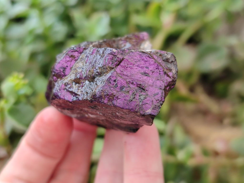 Natural Metallic Purpurite Cobbed Specimens x 12 From Erongo, Namibia - Toprock Gemstones and Minerals 