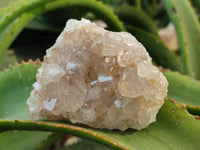 Natural Limonite Quartz Clusters x 12 From Solwezi, Zambia - Toprock Gemstones and Minerals 
