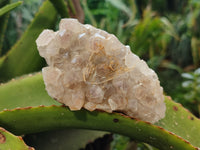 Natural Limonite Quartz Clusters x 12 From Solwezi, Zambia - Toprock Gemstones and Minerals 