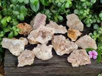 Natural Limonite Quartz Clusters x 12 From Solwezi, Zambia - Toprock Gemstones and Minerals 
