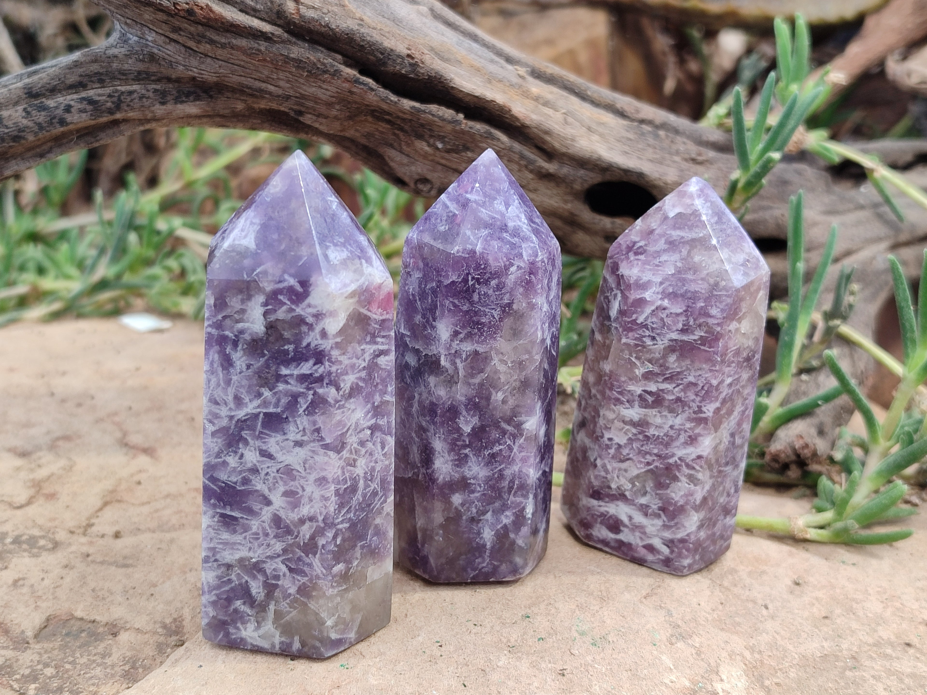 Polished Lepidolite with Pink Rubellite Points x 12 From Ambatondrazaka, Madagascar - Toprock Gemstones and Minerals 