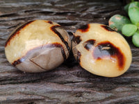 Polished Mix Of Selected Palm Stones x 12 From Madagascar - Toprock Gemstones and Minerals 