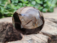 Polished Mix Of Selected Palm Stones x 12 From Madagascar - Toprock Gemstones and Minerals 