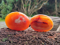 Polished Mix Of Selected Palm Stones x 12 From Madagascar - Toprock Gemstones and Minerals 