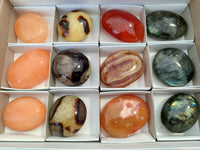 Polished Mix Of Selected Palm Stones x 12 From Madagascar - Toprock Gemstones and Minerals 