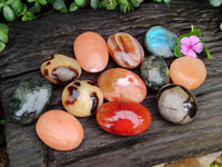 Polished Mix Of Selected Palm Stones x 12 From Madagascar - Toprock Gemstones and Minerals 