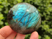 Polished Mix Of Selected Palm Stones x 12 From Madagascar - Toprock Gemstones and Minerals 
