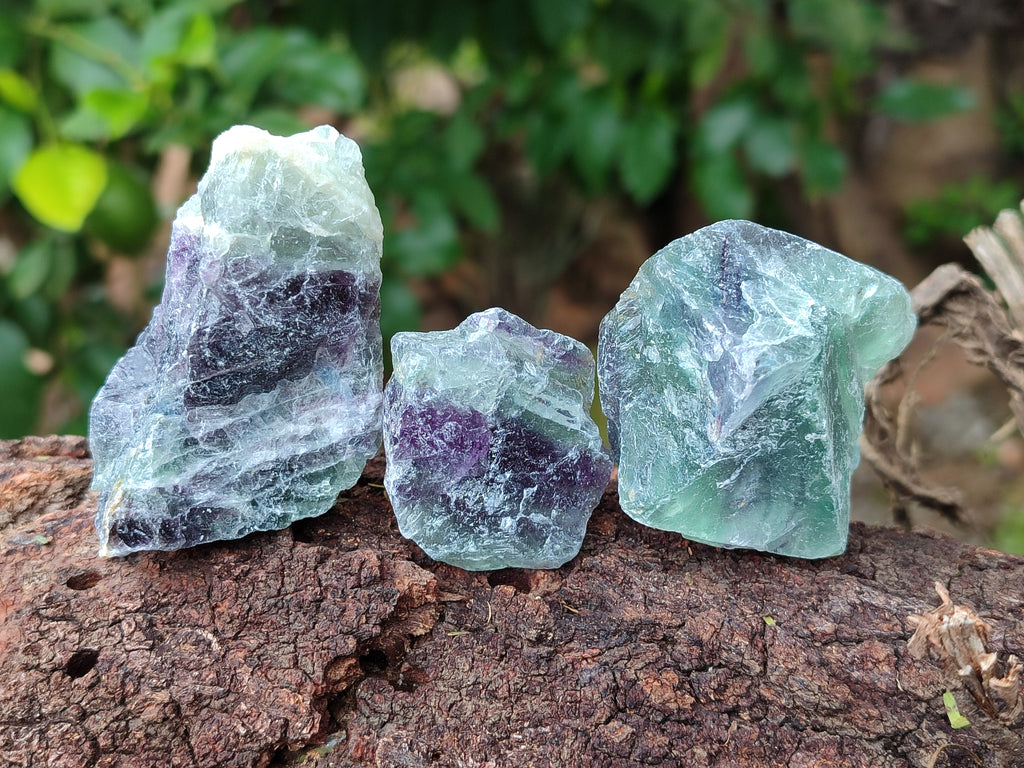 Natural Watermelon Fluorite Cobbed Specimens x 4.03 Kg Lot From Uis, Namibia - Toprock Gemstones and Minerals 