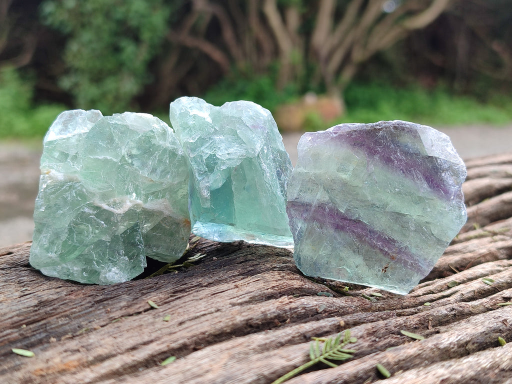 Natural Watermelon Fluorite Cobbed Specimens x 4.03 Kg Lot From Uis, Namibia - Toprock Gemstones and Minerals 