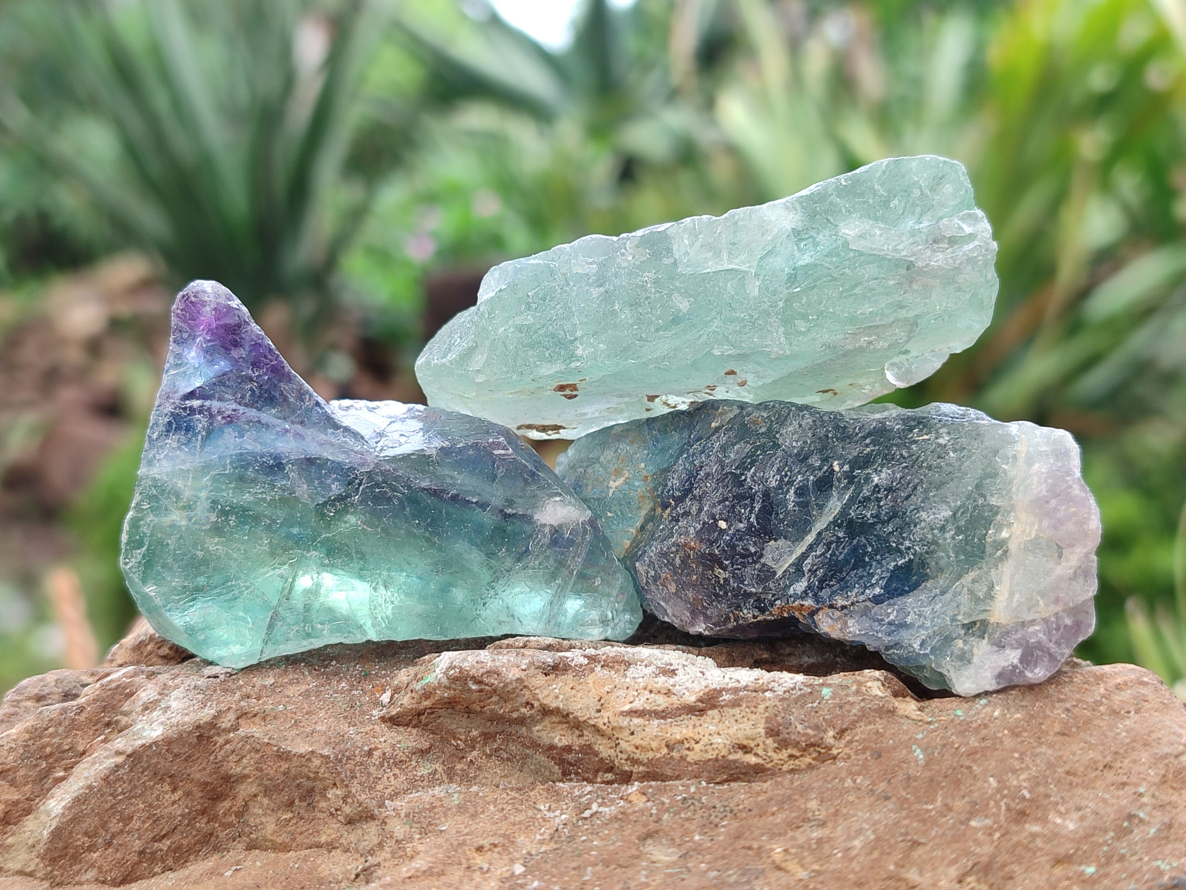 Natural Watermelon Fluorite Cobbed Specimens x 4.03 Kg Lot From Uis, Namibia - Toprock Gemstones and Minerals 