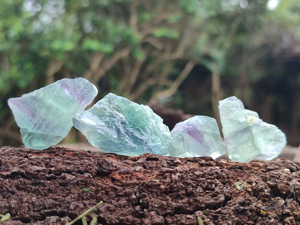 Natural Watermelon Fluorite Cobbed Specimens x 4.03 Kg Lot From Uis, Namibia - Toprock Gemstones and Minerals 