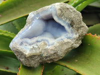 Natural Blue Lace Agate Geode Specimens x 6 From Nsanje, Malawi