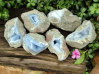 Natural Blue Lace Agate Geode Specimens x 6 From Nsanje, Malawi - Toprock Gemstones and Minerals 