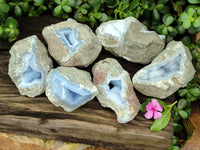 Natural Blue Lace Agate Geode Specimens x 6 From Nsanje, Malawi