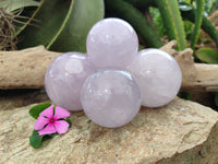 Polished Blue Girasol Rose Quartz Spheres x 4 From Madagascar