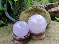 Polished Blue Girasol Rose Quartz Spheres x 4 From Madagascar