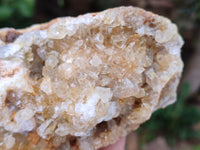 Natural Limonite Quartz Clusters x 2 From Solwezi, Zambia - Toprock Gemstones and Minerals 