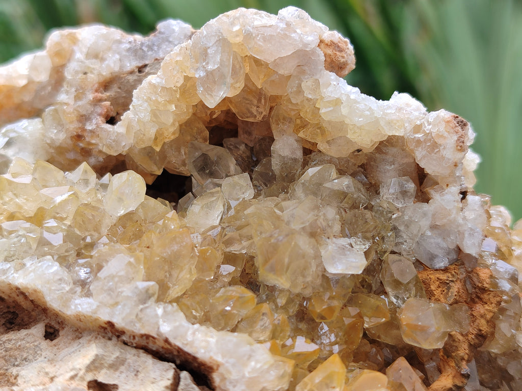 Natural Limonite Quartz Clusters x 2 From Solwezi, Zambia - Toprock Gemstones and Minerals 