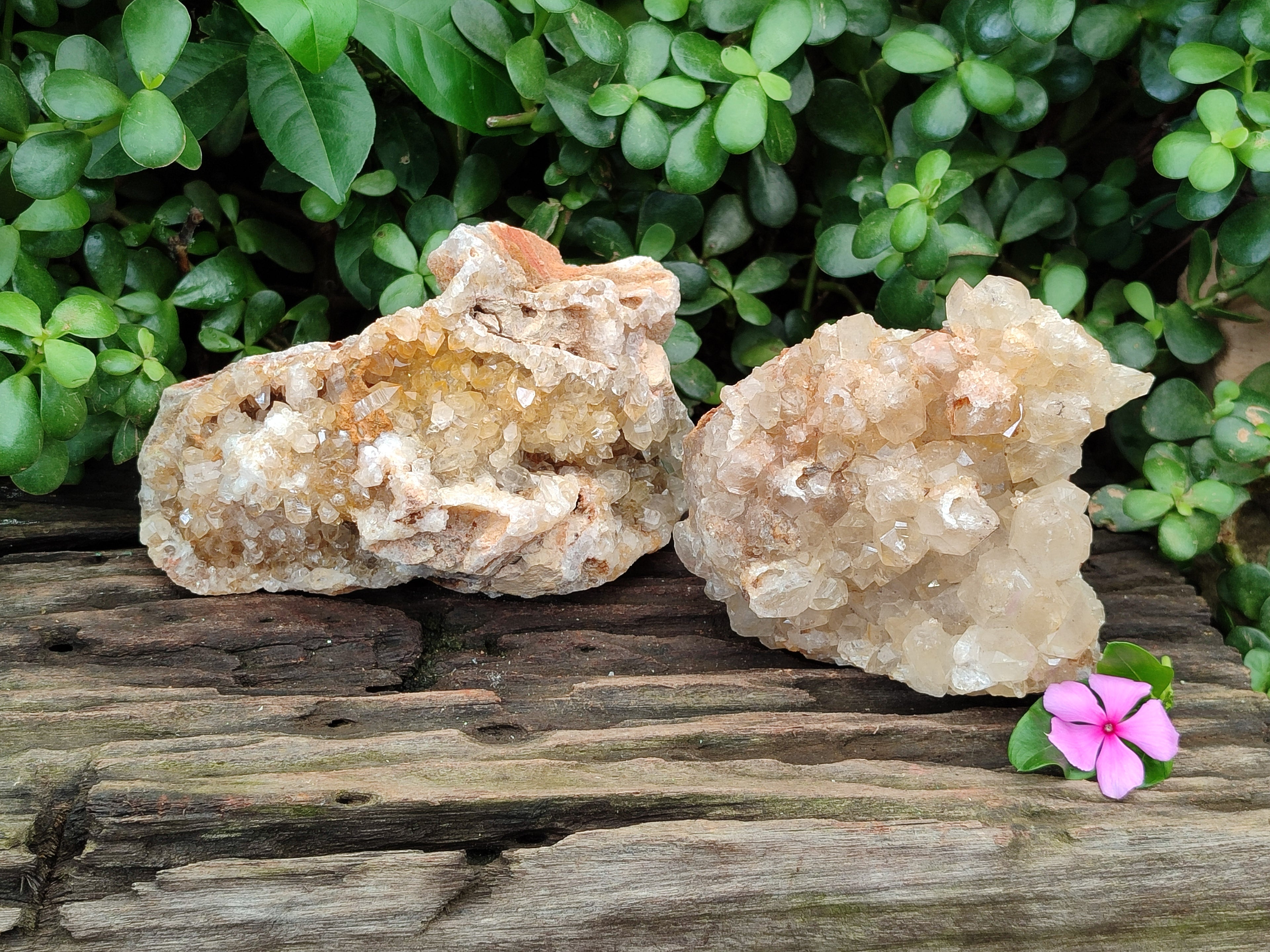 Natural Limonite Quartz Clusters x 2 From Solwezi, Zambia - Toprock Gemstones and Minerals 