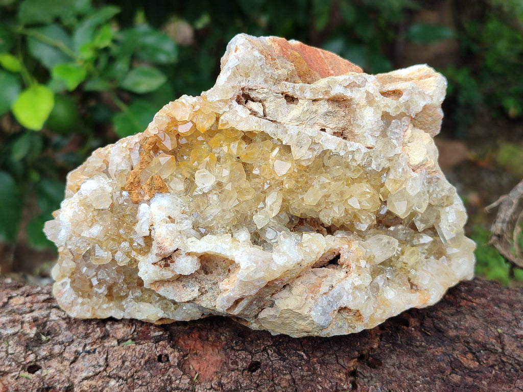 Natural Limonite Quartz Clusters x 2 From Solwezi, Zambia - Toprock Gemstones and Minerals 